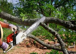 Best Utility Line Clearance  in Ocean Park, WA